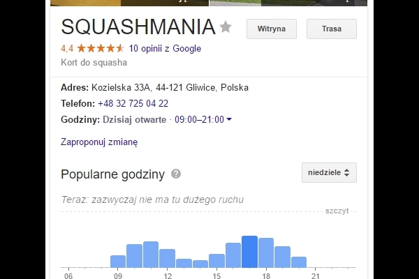 Google moja firma squashmania